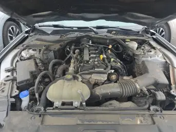 Florida Fine Cars - Used FORD MUSTANG 2023 WEST PALM ECOBOOST PREMIUM