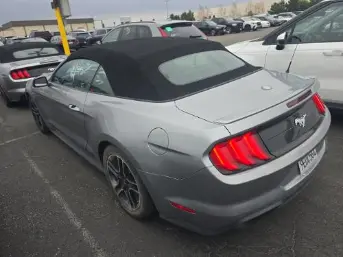 Florida Fine Cars - Used FORD MUSTANG 2023 MIAMI ECOBOOST PREMIUM