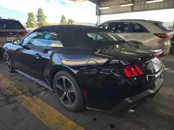 Florida Fine Cars - Used FORD MUSTANG 2024 MIAMI ECOBOOST