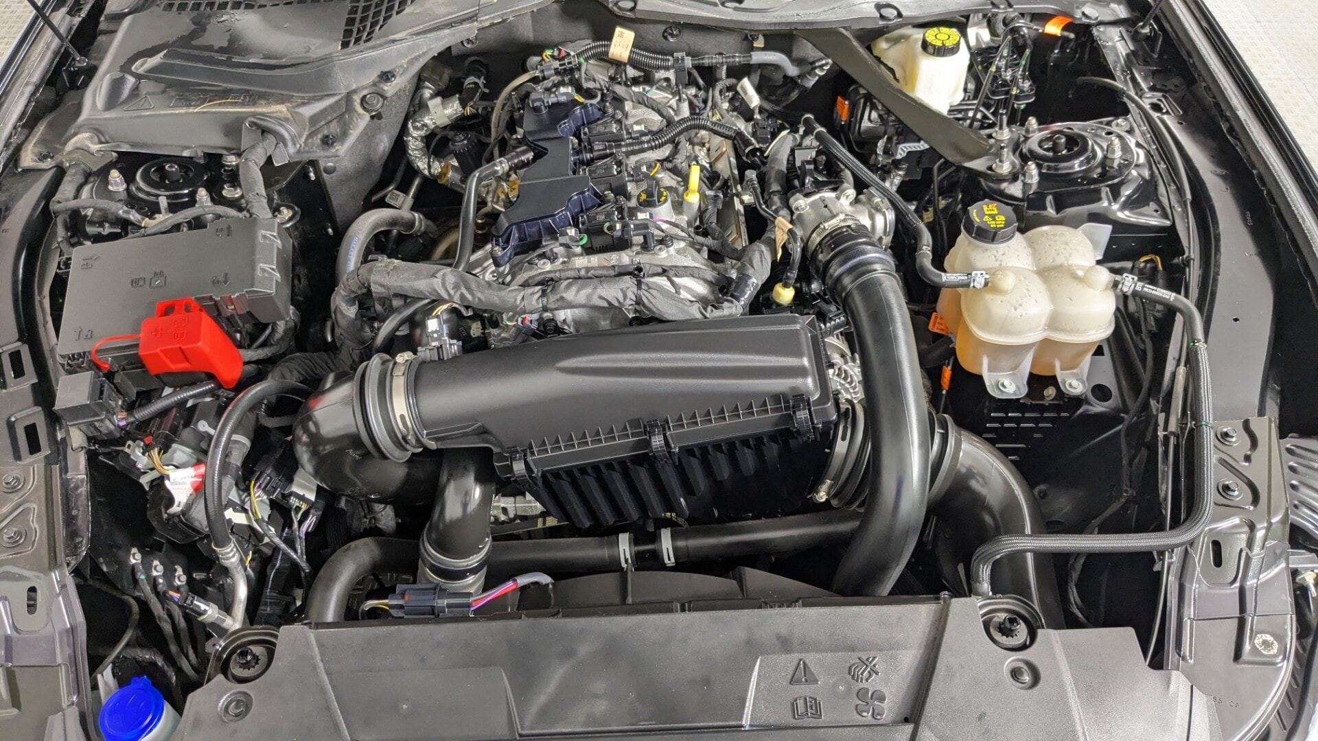 Florida Fine Cars - Used FORD MUSTANG 2024 ORLANDO ECOBOOST PREMIUM