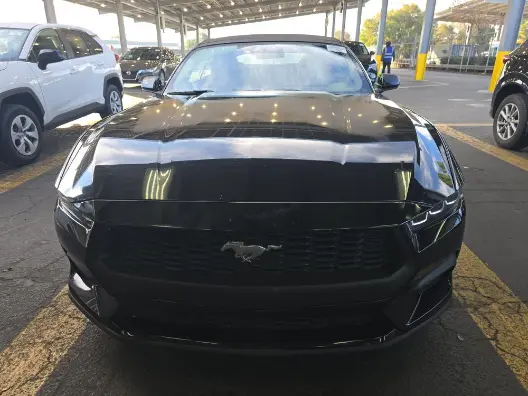 Florida Fine Cars - Used FORD MUSTANG 2024 ORLANDO ECOBOOST PREMIUM