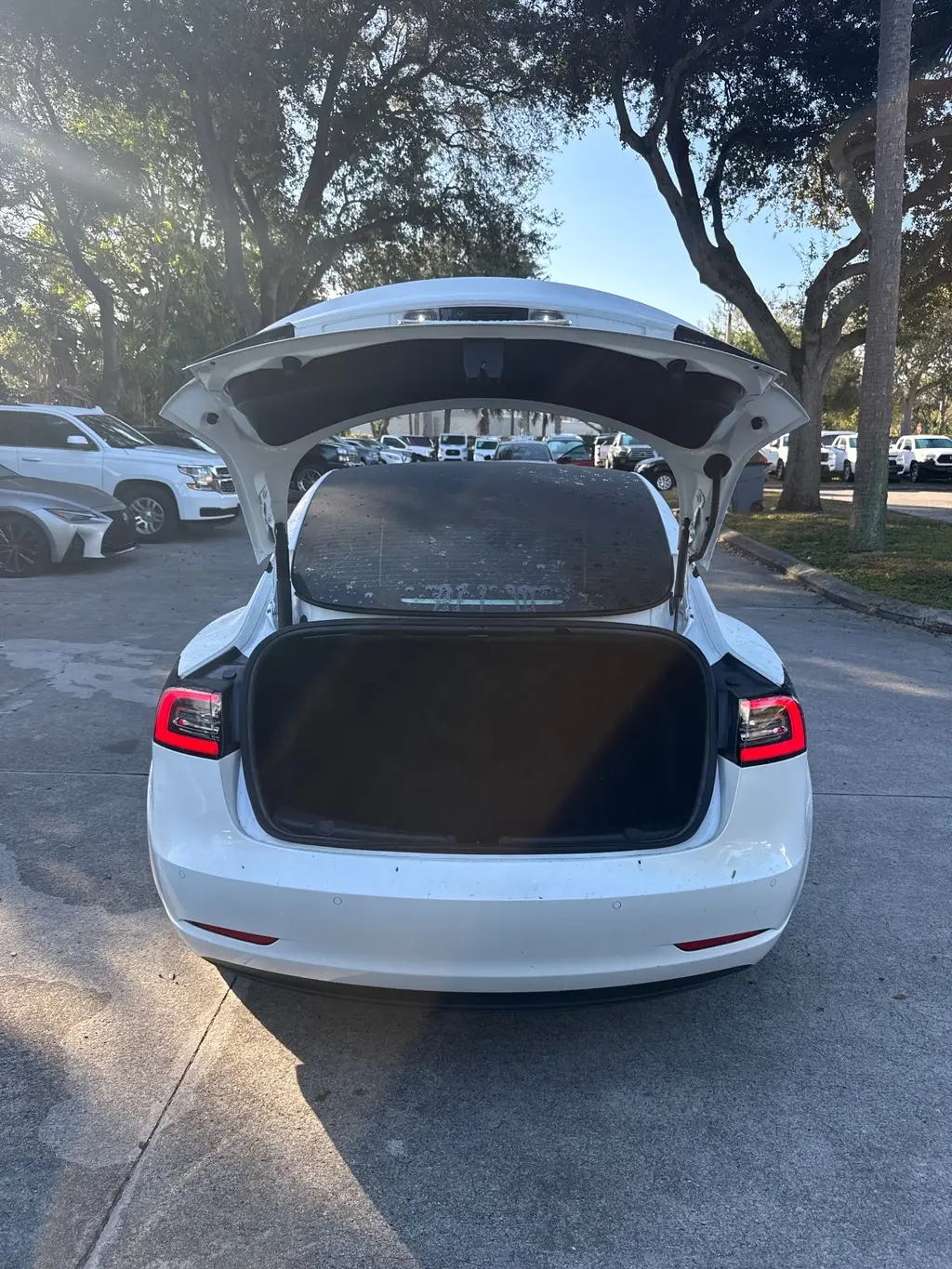 Florida Fine Cars - Used TESLA MODEL 3 2022 WEST PALM 