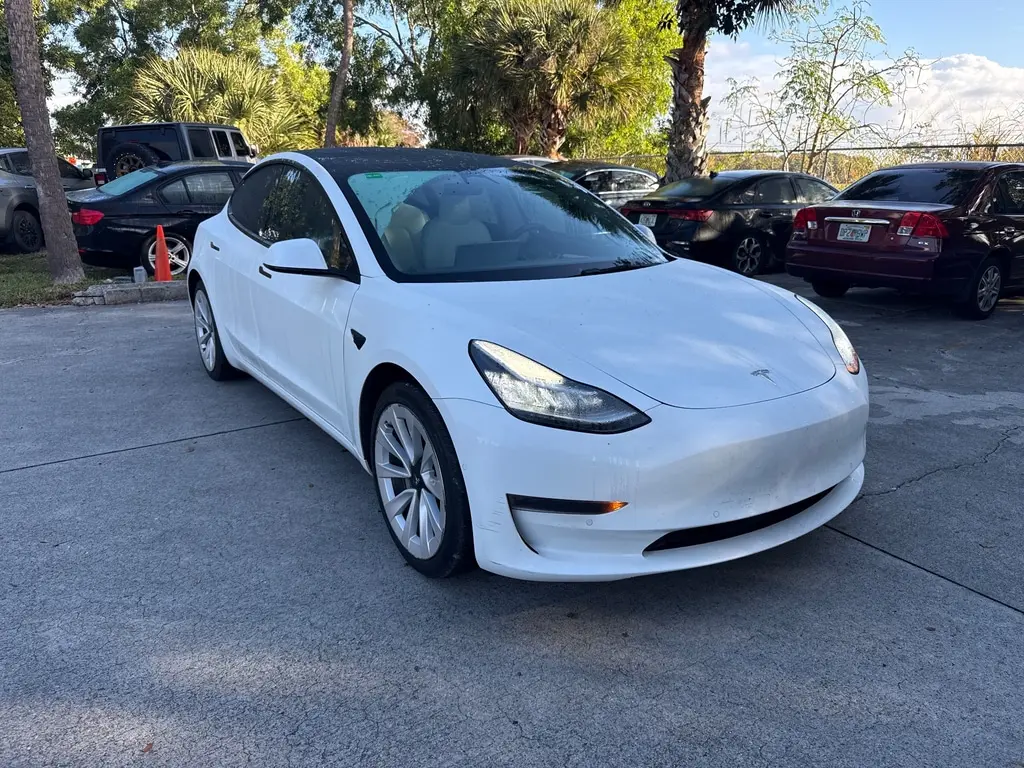 Florida Fine Cars - Used TESLA MODEL 3 2022 WEST PALM 