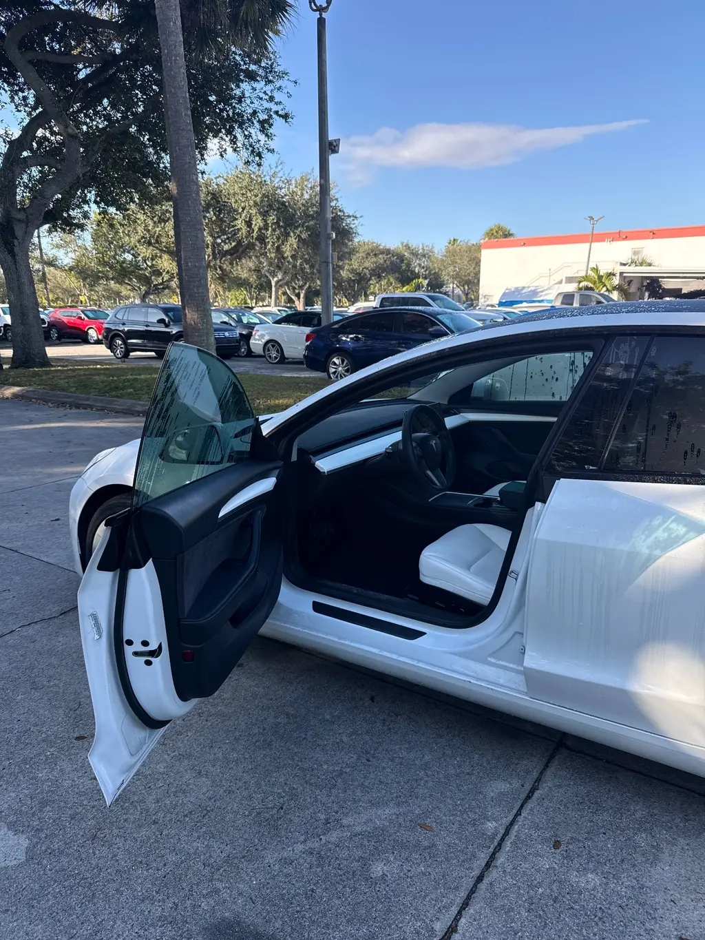 Florida Fine Cars - Used TESLA MODEL 3 2022 WEST PALM 