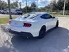 Florida Fine Cars - Used FORD MUSTANG 2024 ORLANDO GT PREMIUM