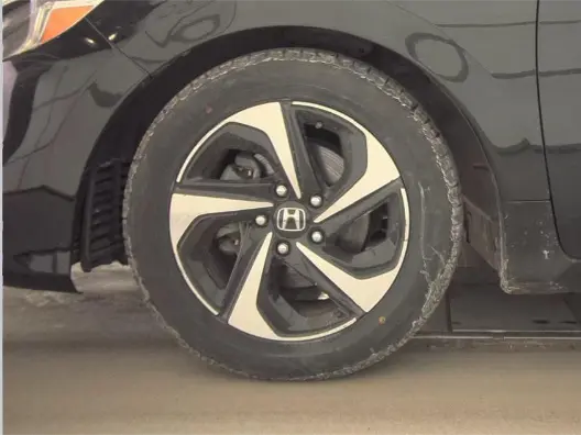 Florida Fine Cars - Used HONDA INSIGHT 2022 WEST PALM EX