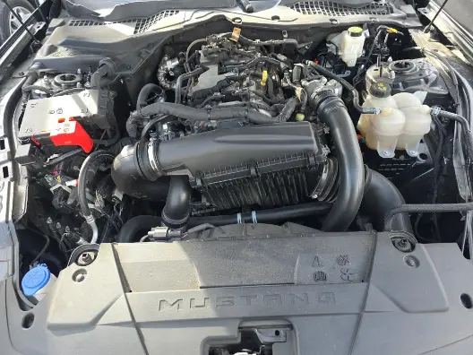 Florida Fine Cars - Used FORD MUSTANG 2024 WEST PALM ECOBOOST PREMIUM