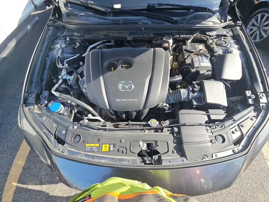 Florida Fine Cars - Used MAZDA MAZDA3 HATCHBACK 2019 WEST PALM W/PREMIUM PKG