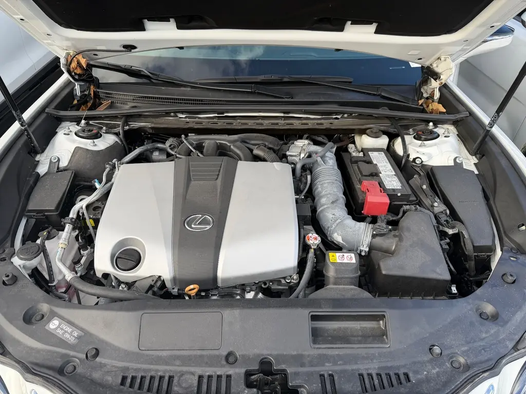 Florida Fine Cars - Used LEXUS ES 2023 MIAMI ES 350