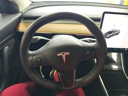 Florida Fine Cars - Used TESLA MODEL 3 2020 WEST PALM STANDARD RANGE PLUS