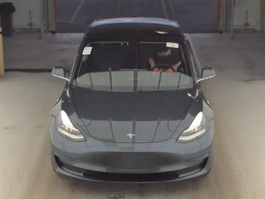Florida Fine Cars - Used TESLA MODEL 3 2020 WEST PALM STANDARD RANGE PLUS