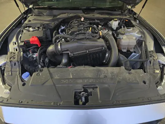 Florida Fine Cars - Used FORD MUSTANG 2024 ORLANDO ECOBOOST PREMIUM