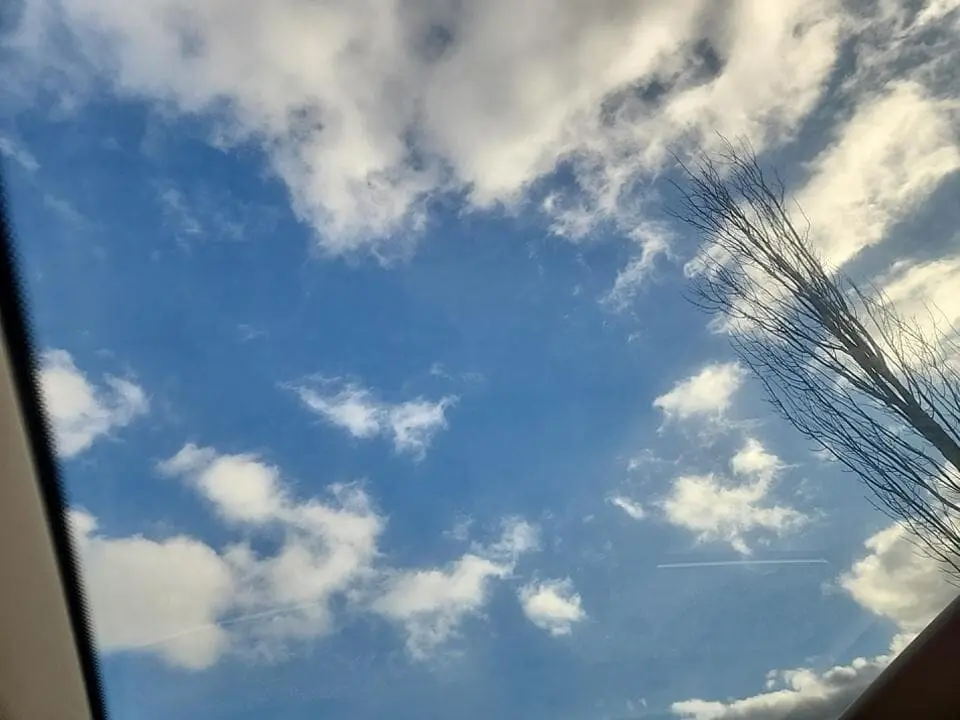 Florida Fine Cars - Used MERCEDES-BENZ S-CLASS 2019 ORLANDO S 450