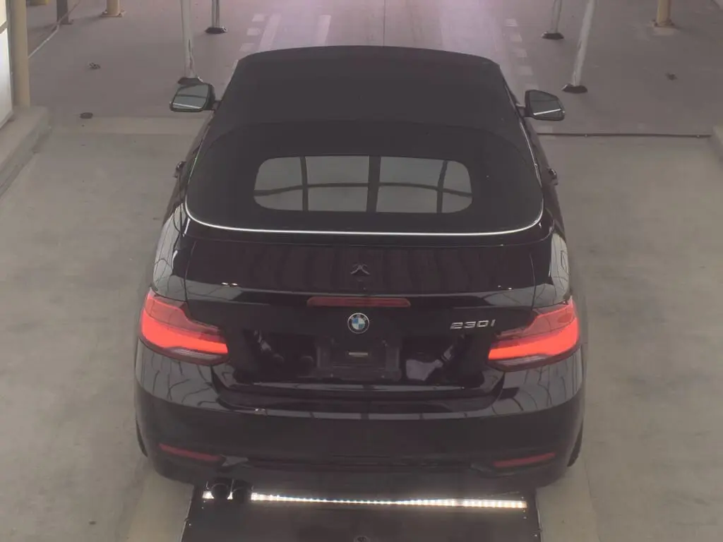 Florida Fine Cars - Used BMW 2 SERIES 2018 WEST PALM 230I