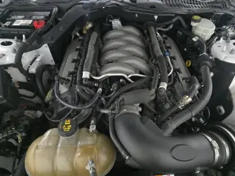 Florida Fine Cars - Used FORD MUSTANG 2017 ORLANDO GT