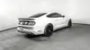 Florida Fine Cars - Used FORD MUSTANG 2017 ORLANDO GT