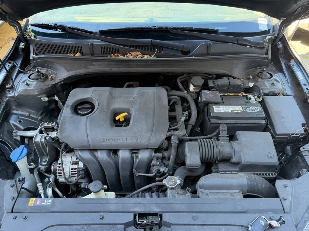 Florida Fine Cars - Used KIA FORTE 2019 MARGATE LXS