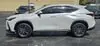 Florida Fine Cars - Used LEXUS NX 2025 MIAMI NX 250
