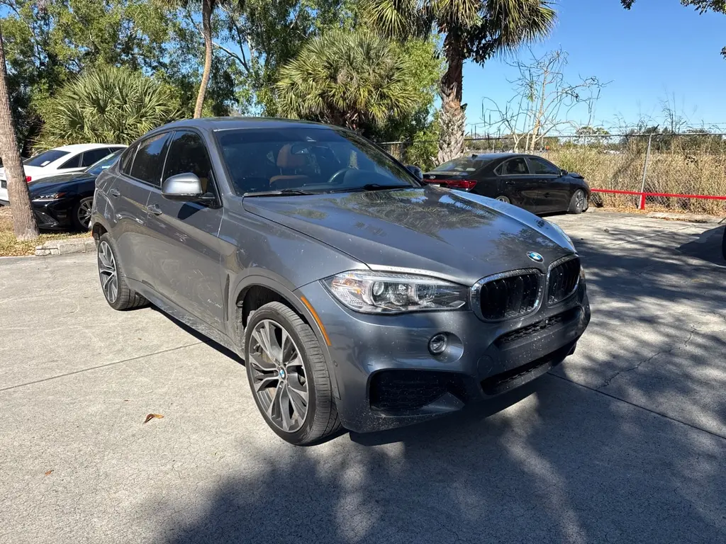 Florida Fine Cars - Used BMW X6 2019 WEST PALM XDRIVE35I M SPORT