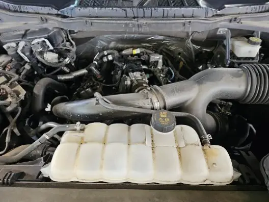 Florida Fine Cars - Used FORD F-150 2021 MARGATE XLT