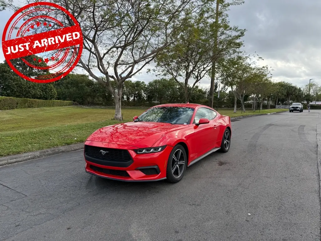 Florida Fine Cars - Used FORD MUSTANG 2024 MIAMI ECOBOOST
