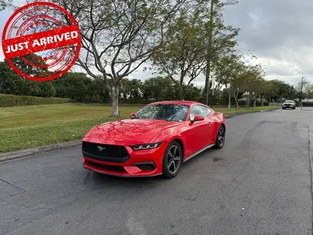 Florida Fine Cars - Used FORD MUSTANG 2024 MIAMI ECOBOOST