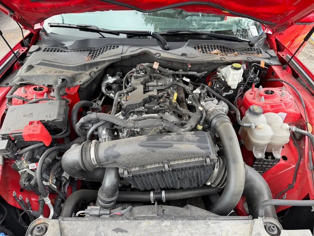 Florida Fine Cars - Used FORD MUSTANG 2024 MIAMI ECOBOOST