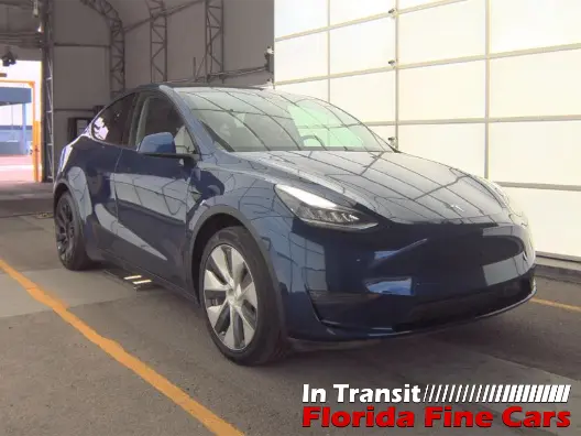 Florida Fine Cars - Used TESLA MODEL Y 2020 WEST PALM LONG RANGE