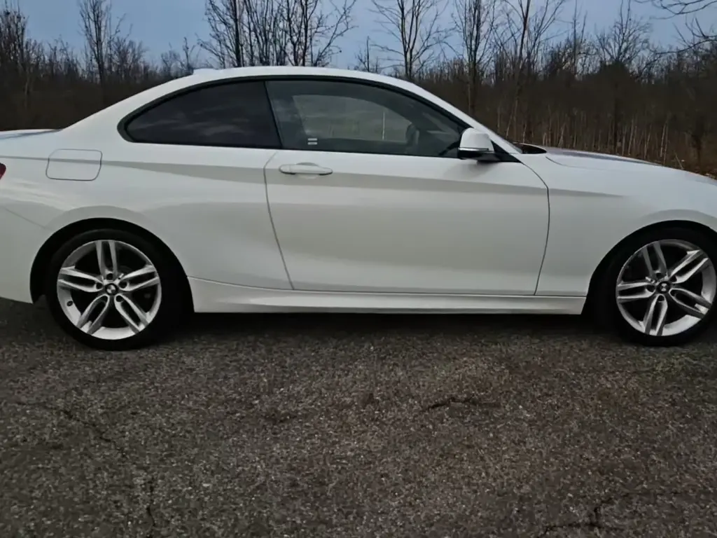Florida Fine Cars - Used BMW 2 SERIES 2017 ORLANDO 230I
