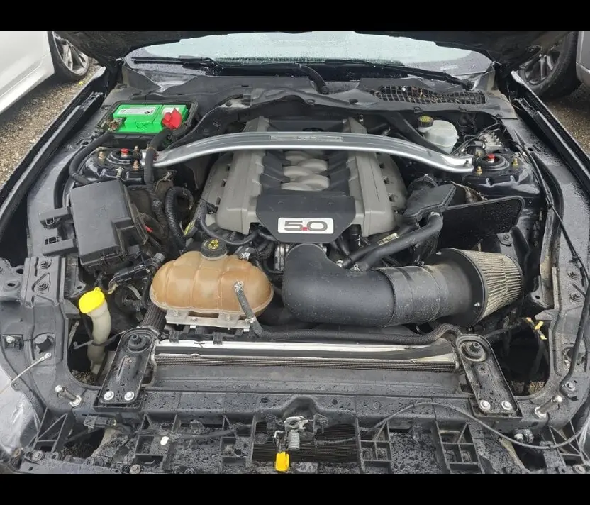 Florida Fine Cars - Used FORD MUSTANG 2015 ORLANDO GT