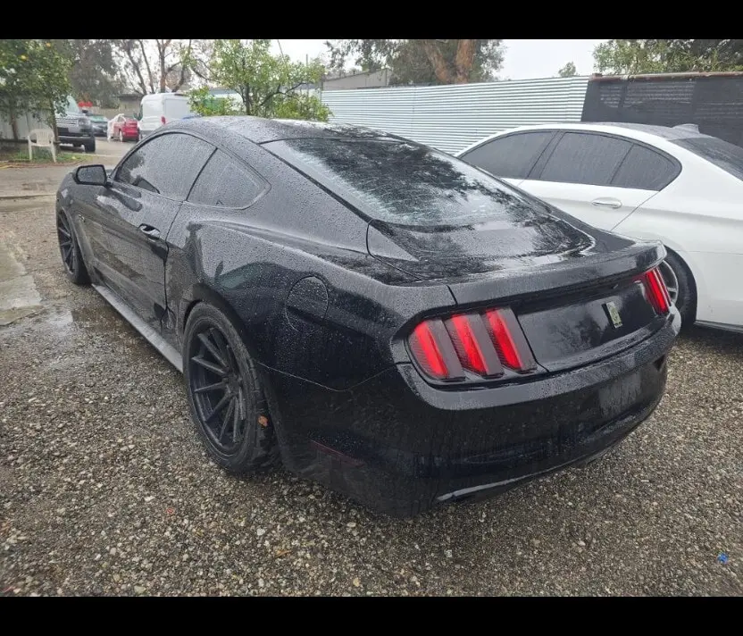 Florida Fine Cars - Used FORD MUSTANG 2015 ORLANDO GT