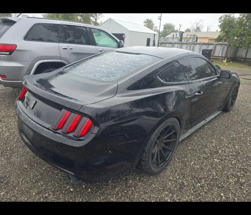 Florida Fine Cars - Used FORD MUSTANG 2015 ORLANDO GT
