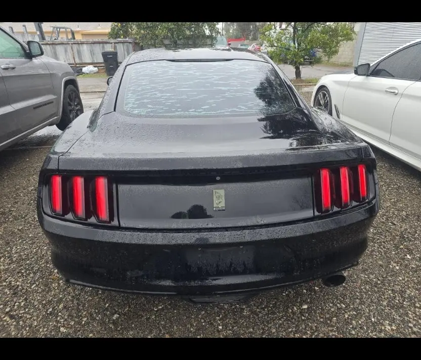 Florida Fine Cars - Used FORD MUSTANG 2015 ORLANDO GT