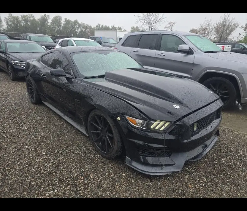 Florida Fine Cars - Used FORD MUSTANG 2015 ORLANDO GT