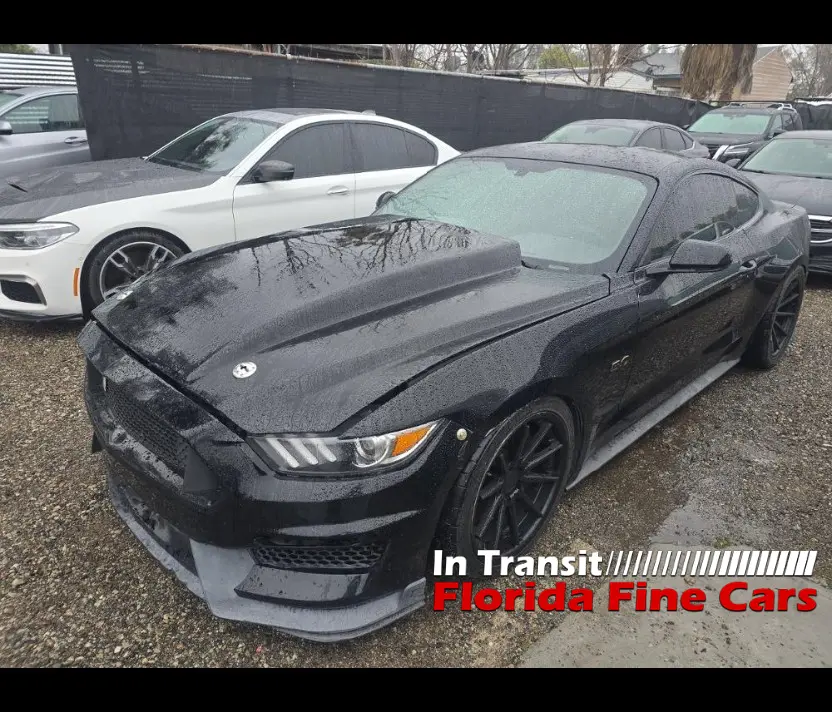 Florida Fine Cars - Used FORD MUSTANG 2015 ORLANDO GT