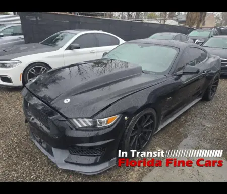 Florida Fine Cars - Used FORD MUSTANG 2015 ORLANDO GT