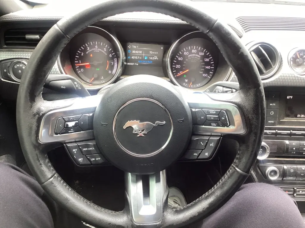 Florida Fine Cars - Used FORD MUSTANG 2015 MIAMI GT