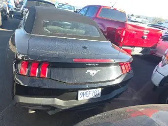 Florida Fine Cars - Used FORD MUSTANG 2024 MARGATE ECOBOOST