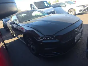 Florida Fine Cars - Used FORD MUSTANG 2024 MARGATE ECOBOOST