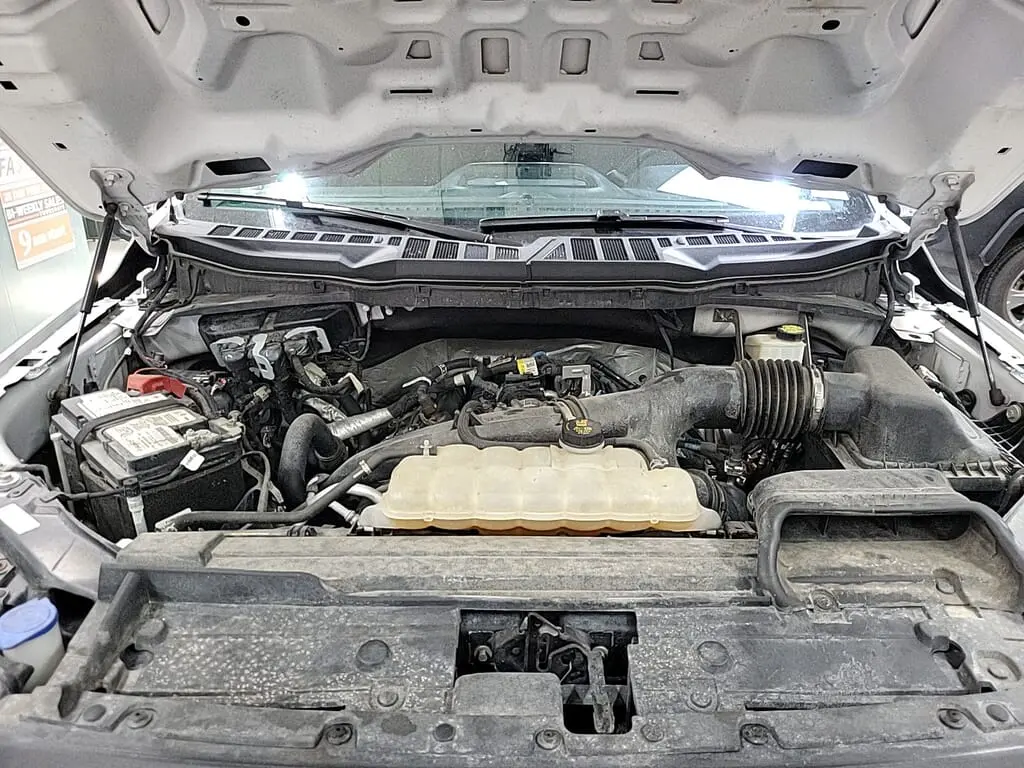 Florida Fine Cars - Used FORD F-150 2021 WEST PALM XL