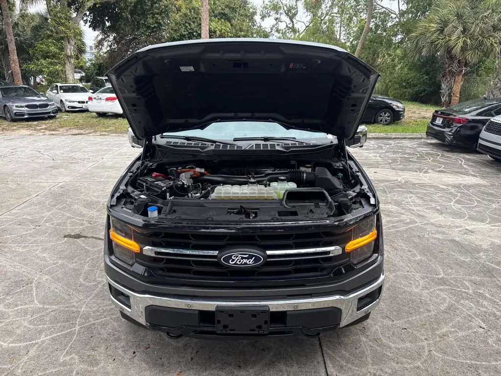 Florida Fine Cars - Used FORD F-150 2024 WEST PALM XLT