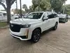 Florida Fine Cars - Used CADILLAC ESCALADE ESV 2021 WEST PALM SPORT PLATINUM