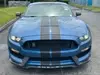 Florida Fine Cars - Used FORD MUSTANG 2019 MIAMI SHELBY GT350