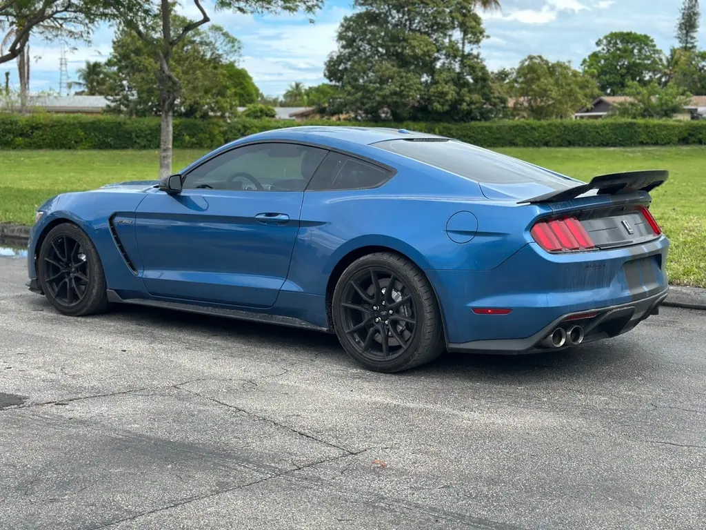 Florida Fine Cars - Used FORD MUSTANG 2019 MIAMI SHELBY GT350