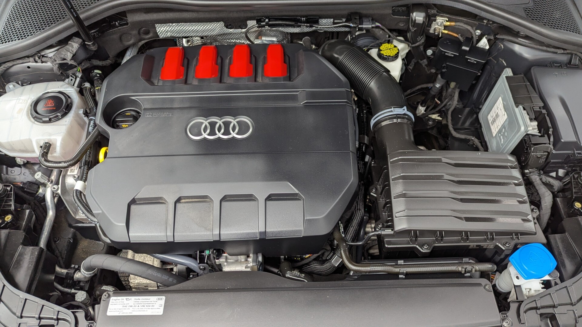 Florida Fine Cars - Used vehicle - SEDAN AUDI S3 2023
