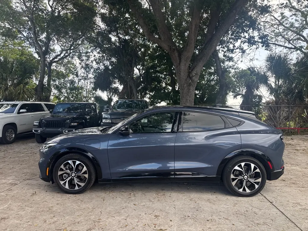 Florida Fine Cars - Used FORD MUSTANG MACH-E 2021 WEST PALM PREMIUM