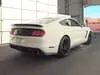 Florida Fine Cars - Used FORD MUSTANG 2016 ORLANDO SHELBY GT350