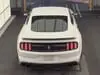 Florida Fine Cars - Used FORD MUSTANG 2016 ORLANDO SHELBY GT350