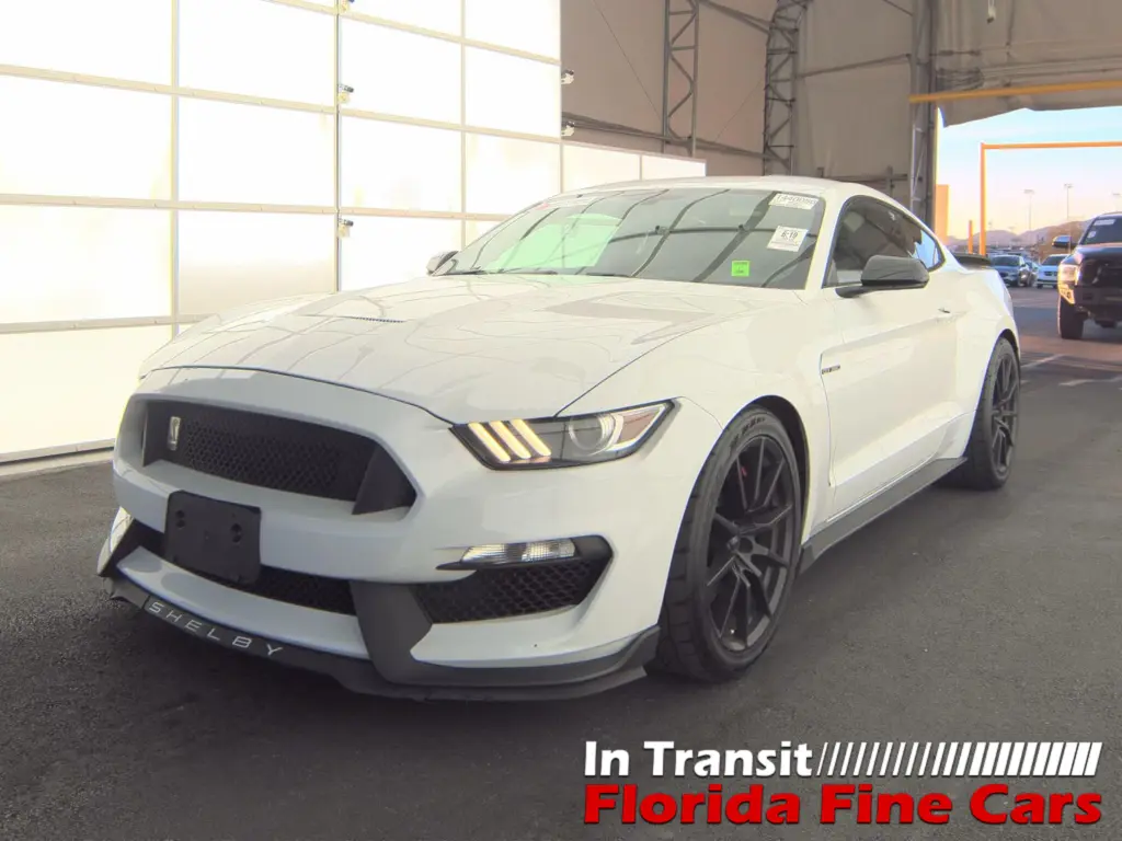 Florida Fine Cars - Used FORD MUSTANG 2016 ORLANDO SHELBY GT350