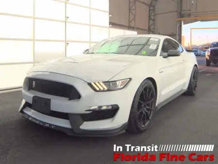 Florida Fine Cars - Used FORD MUSTANG 2016 ORLANDO SHELBY GT350